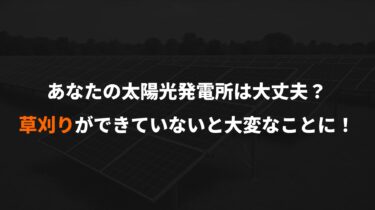 あなたの太陽光発電所は大丈夫？草刈りができていないと大変なことになるかも！