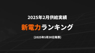 新電力ランキング(2025年2月供給実績) TOP100